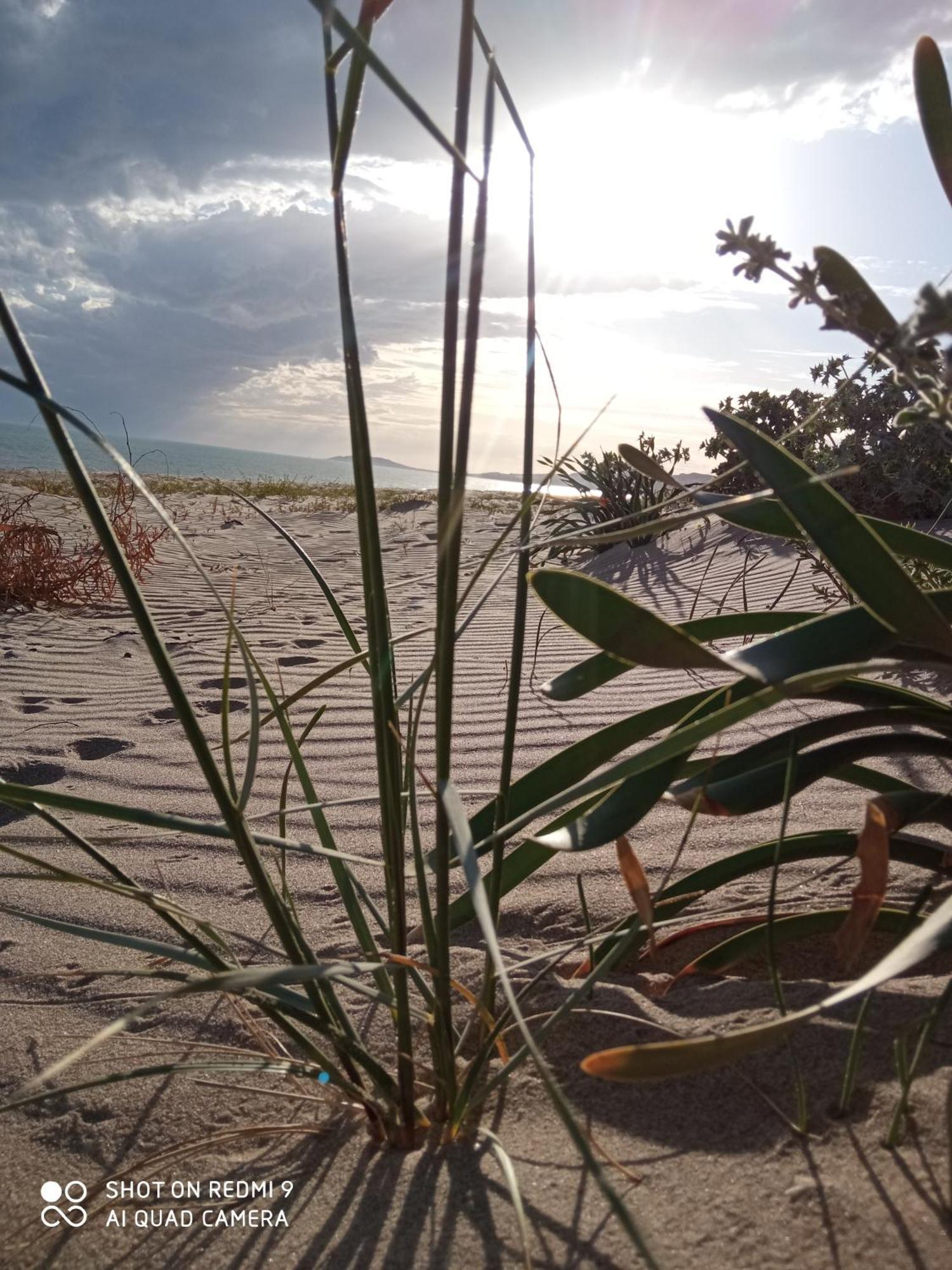 Natura E Relax Sul Mare 겔라 외부 사진